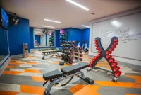 Vibrant fitness center featuring colorful geometric flooring, modern weight racks, and versatile exercise equipment against bold blue walls.
