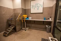 Modern pet grooming room with stainless steel washing station, artistic dog portrait, and stylish tiled design.