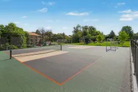 Pickleball Court