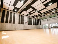 Vivere Sport Court