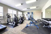Bright and modern fitness center with state-of-the-art exercise equipment, including treadmills, elliptical machines, weight benches, and a full set of dumbbells.