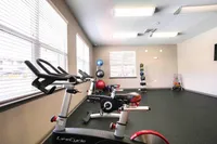 Modern fitness center with bright natural light, featuring spin bikes, stability balls, and organized workout equipment for a perfect workout experience.