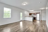 Bright open-concept apartment with modern kitchen, elegant dark wood cabinets, and sleek stainless steel appliances.