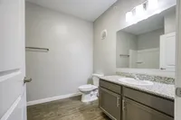 Modern bathroom with sleek granite countertop, elegant wooden flooring, and bright lighting highlighting a spacious design.