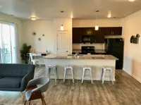 Modern open Concept Living Area & Kitchen