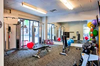 Modern and vibrant fitness center with a range of equipment, colorful exercise balls, and natural light.