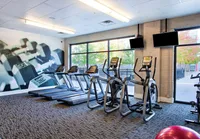 Modern fitness center featuring treadmills and elliptical machines with large windows providing natural light and a vibrant outdoor view.