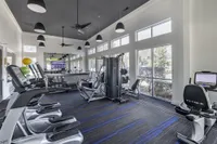 Modern fitness center featuring state-of-the-art cardio and strength training equipment, abundant natural light, and stylish design.