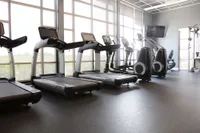 Modern fitness center with state-of-the-art treadmills and elliptical machines, featuring large windows with natural light.