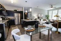 Modern open-concept kitchen and living room with sleek dark cabinets, stainless steel appliances, and abundant natural light.