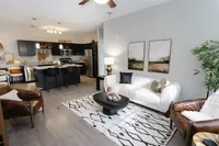 Elegant apartment interior with a modern open-concept design, featuring a stylish kitchen with black cabinetry, cozy living area with chic decor, and abundant natural light.