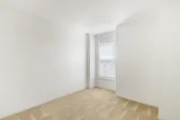 Bright and airy empty room with soft carpet flooring and a large window, perfect for customization and personal style.