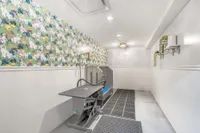 Chic and modern pet washing station featuring playful dog-themed wallpaper, elegant lighting, and convenient grooming equipment.