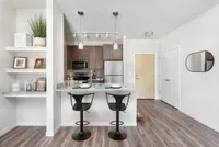 Modern kitchen with sleek countertops, elegant bar seating, and stylish shelving in a bright apartment.