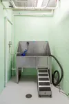 Modern pet grooming station with stainless steel wash area and convenient ramp in a bright, mint-colored room.