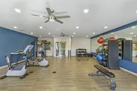 Modern fitness center featuring exercise bikes, weight machines, and vibrant workout balls in a spacious and bright environment.