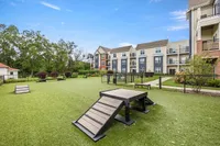 Inviting apartment complex with lush green dog park, agility equipment, and modern multi-story buildings in the background.