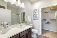 Elegant bathroom with modern fixtures, stylish decor, and a spacious walk-in closet.