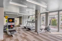 Modern fitness center with state-of-the-art equipment, featuring treadmills, exercise balls, and a rowing machine, bathed in natural light from large windows.