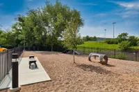Expansive outdoor pet park with agility equipment and seating, surrounded by lush greenery under a vibrant blue sky.