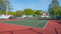 Tennis court with trees in background.