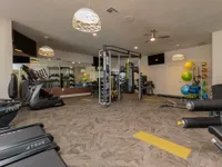 Carpeted gym with punching bag, medicine balls, weights, pull up bars, and various other pieces of equipment in the background.