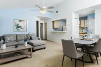3-3 Live Oak