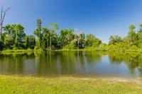 Lake landscape with trees