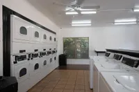 Community laundry facility with washers and dryers. The floor is half tile and hardwood.