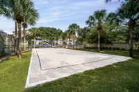 Community beach volleyball pit with lush green grass and palm trees.