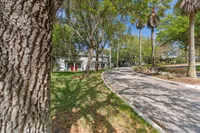Road with trees and apartment buildings