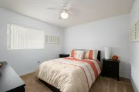 Bright bedroom featuring a comfortable bed with decorative pillows, stylish side tables, and soft carpet flooring.