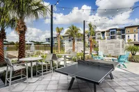 Vibrant outdoor recreation area featuring a modern ping-pong table, comfortable seating, and charming string lights amidst lush palm trees and scenic apartment views.