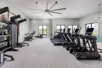 Modern fitness center with state-of-the-art treadmills, exercise bikes, and a variety of strength training equipment, enhanced by natural light and sleek design.