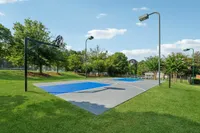 Vibrant outdoor basketball court surrounded by lush green lawns and tall trees, perfect for active recreation and leisure.