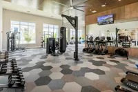 Modern fitness center with state-of-the-art equipment, spacious workout areas, and large windows for natural light.