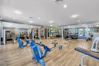 Spacious and modern fitness center with state-of-the-art equipment and vibrant natural lighting.
