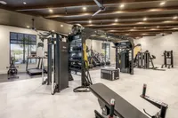 Modern fitness center with TRX equipment, state-of-the-art machines, and natural lighting for an invigorating workout experience.