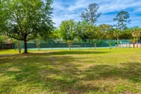 Lush green park view with a tennis court and tall trees under a bright blue sky, offering a serene recreational space.