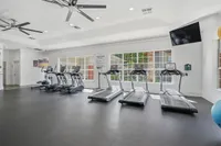 Modern fitness center with large windows, featuring state-of-the-art treadmills and elliptical machines, in a bright and airy space.