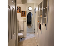 Chan885 bathroom basement