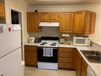 Cast 301 kitchen2