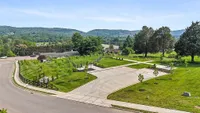 Dog Park