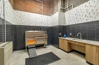 Modern pet grooming room with a stainless steel wash station, charming dog-themed wallpaper, and sleek cabinetry.