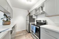 Two Bedroom x One Bath - Kitchen