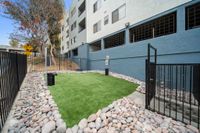 Dog Park