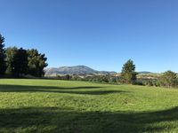 Grounds