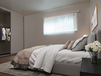1 Bed 1 Bath