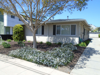 534 Juana - Exterior
