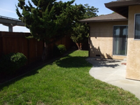 2373 Cherry St. - Backyard